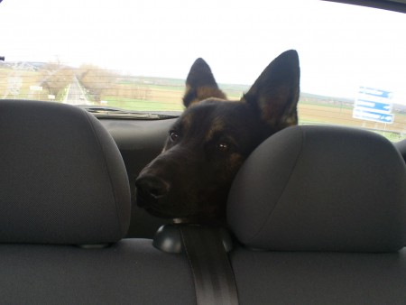 cestujeme na súťaž